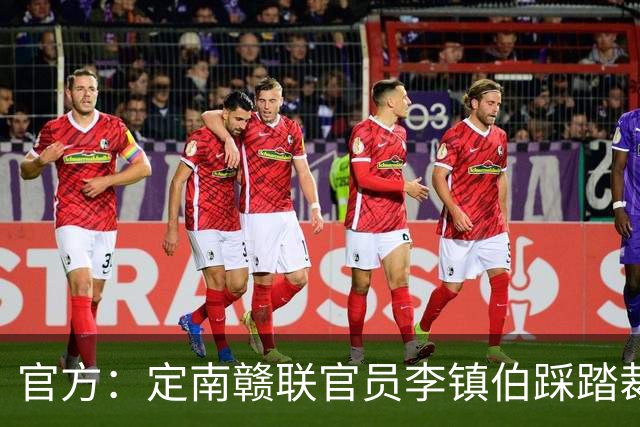 官方：定南赣联官员李镇伯踩踏裁判脚部，罚款11万+禁止入场7个月