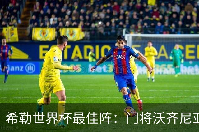 希勒世界杯最佳阵：门将沃齐尼亚，西班牙4后卫，梅姆哈锋线
